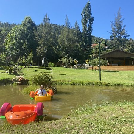 Quinta Da Vinha Do Souto Villa อาโรว์กา ภายนอก รูปภาพ