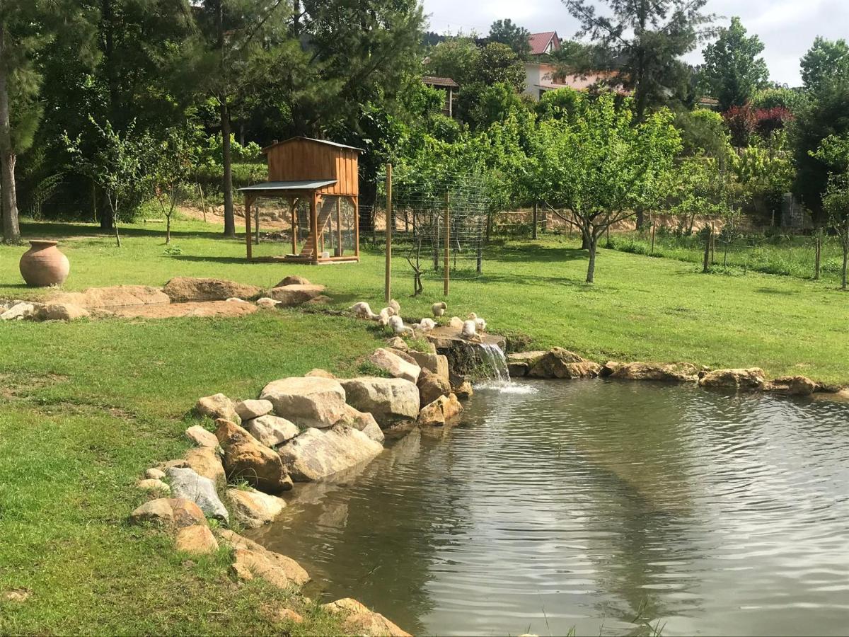 Quinta Da Vinha Do Souto Villa อาโรว์กา ภายนอก รูปภาพ