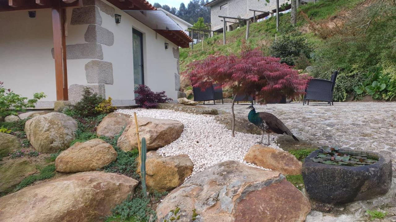 Quinta Da Vinha Do Souto Villa อาโรว์กา ภายนอก รูปภาพ