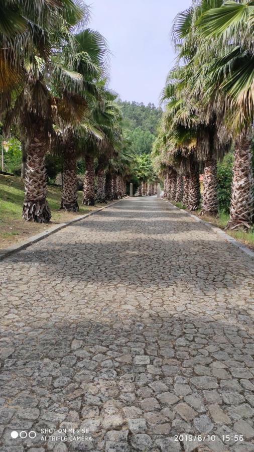 Quinta Da Vinha Do Souto Villa อาโรว์กา ภายนอก รูปภาพ